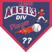 TeamsBanner Rapid Any Team Baseball Team Banner Example