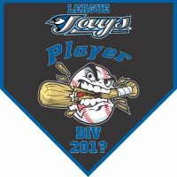 TeamsBanner Rapid Any Team Baseball Team Banner Example