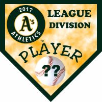 TeamsBanner Rapid Any Team Baseball Team Banner Example