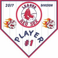 TeamsBanner Rapid Any Team Baseball Team Banner Example