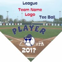 TeamsBanner Rapid Any Team Baseball Team Banner Example