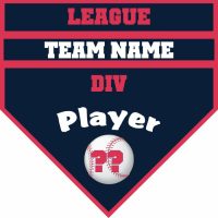 TeamsBanner Rapid Any Team Baseball Team Banner Example