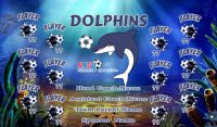 Dolphins SOCCER TEAM BANNER Rapid Dolphins Banner Design