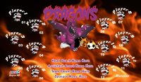 Dragons SOCCER TEAM BANNER Rapid Dragons Banner Design