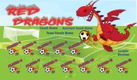 Dragons SOCCER TEAM BANNER Rapid Dragons Banner Design