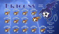 Dragons SOCCER TEAM BANNER Rapid Dragons Banner Design