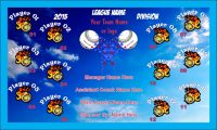 Softball Any TEAM Name BANNER Rapid Softball Banner Design
