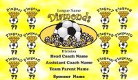 Diamonds SOCCER TEAM BANNER Rapid Diamonds Banner Design