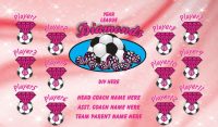 Diamonds SOCCER TEAM BANNER Rapid Diamonds Banner Design