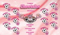 Cheetahs SOCCER TEAM BANNER Rapid Cheetahs Banner Design