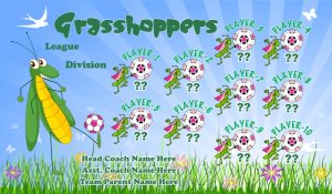 Grasshoppers SOCCER TEAM BANNER Rapid Grasshoppers Banner