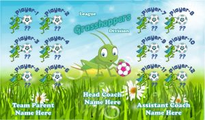 Grasshoppers SOCCER TEAM BANNER Rapid Grasshoppers Banner
