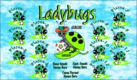 Ladybugs SOCCER TEAM BANNER Rapid Ladybugs Banner