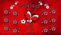 Ladybugs SOCCER TEAM BANNER Rapid Ladybugs Banner