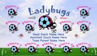 Ladybugs SOCCER TEAM BANNER Rapid Ladybugs Banner