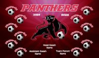 Panthers SOCCER TEAM BANNER Rapid Panthers Banner
