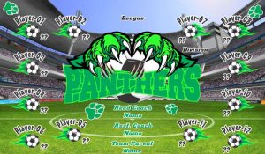Panthers SOCCER TEAM BANNER Rapid Panthers Banner