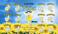 Pixies SOCCER TEAM BANNER Rapid Faries Banner