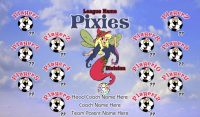 Pixies SOCCER TEAM BANNER Rapid Faries Banner