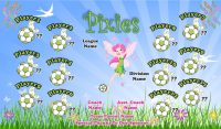 Pixies SOCCER TEAM BANNER Rapid Faries Banner