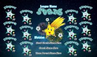 Stars SOCCER TEAM BANNER Rapid Stars Banner