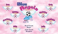 Angels Soccer Team Banner - AYSO Angels Banner - TeamsBanner