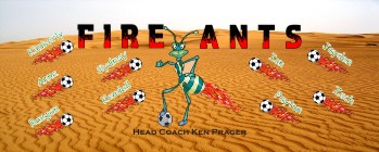 Ants Soccer Team Banner - AYSO Ants Banner - TeamsBanner