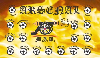 Arsenal Soccer Team Banner - AYSO Arsenal Banner - TeamsBanner