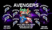 Avengers Soccer Team Banner - AYSO Avengers Banner - TeamsBanner