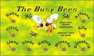 Bees Soccer Team Banner - AYSO Bees Banner - TeamsBanner