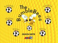 Bees Soccer Team Banner - AYSO Bees Banner - TeamsBanner
