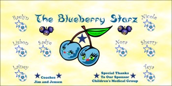 Blue Berries Soccer Team Banner - AYSO Blue Berries Banner - TeamsBanner