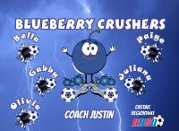 Blue Berries Soccer Team Banner - AYSO Blue Berries Banner - TeamsBanner