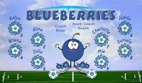 Blue Berries Soccer Team Banner - AYSO Blue Berries Banner - TeamsBanner