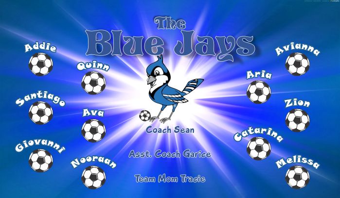 Blue Jays Soccer Team Banner - AYSO Blue Jays - TeamsBanner