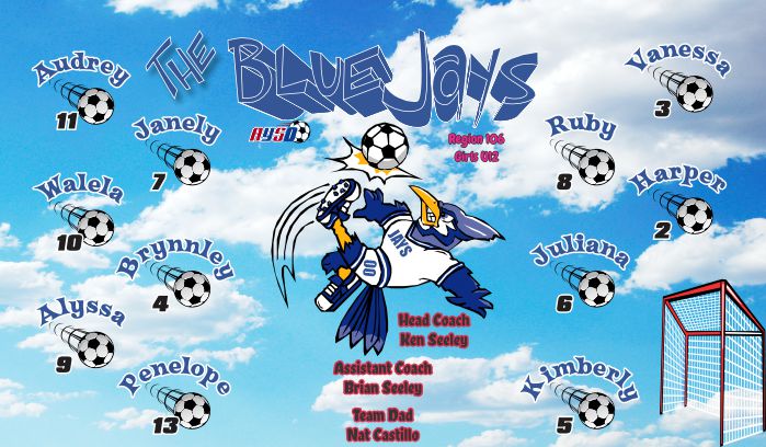 Blue Jays Soccer Team Banner - AYSO Blue Jays - TeamsBanner