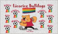 Bull Dogs Soccer Team Banner - AYSO Bull Dogs Banner - TeamsBanner