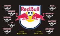 Bulls Soccer Team Banner - AYSO Bulls Banner - TeamsBanner