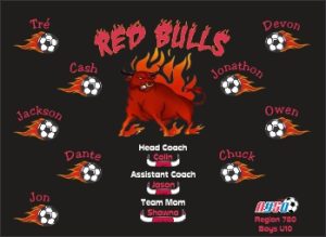 Bulls Soccer Team Banner - AYSO Bulls Banner - TeamsBanner