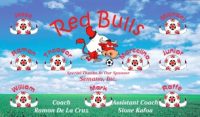 Bulls Soccer Team Banner - AYSO Bulls Banner - TeamsBanner