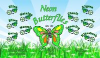 Butterflies Soccer Team Banner - AYSO Butterflies Banner - TeamsBanner