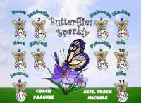 Butterflies Soccer Team Banner - AYSO Butterflies Banner - TeamsBanner
