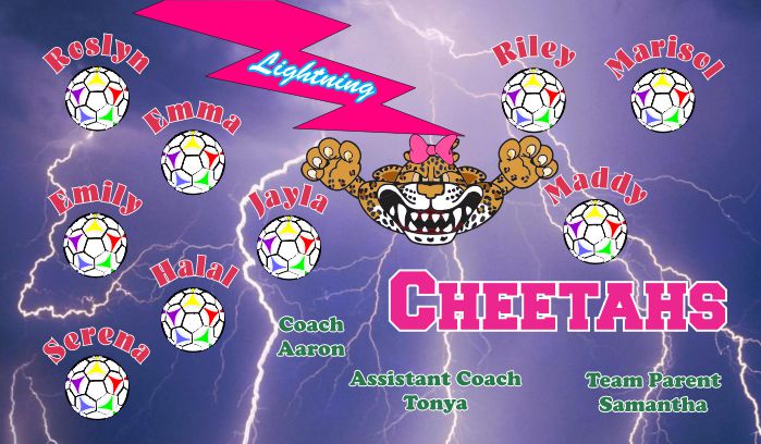 Cheetahs Soccer Team Banner - AYSO Cheetahs Banner - TeamsBanner
