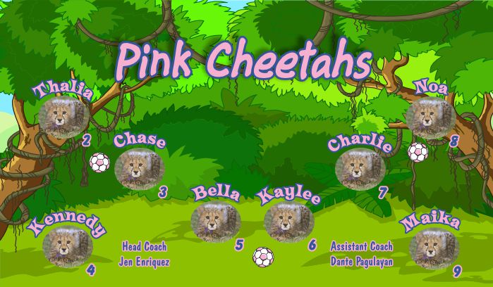 Cheetahs Soccer Team Banner - AYSO Cheetahs Banner - TeamsBanner