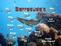 General Name Soccer Team Banner - AYSO Miscellaneous Banner - TeamsBanner