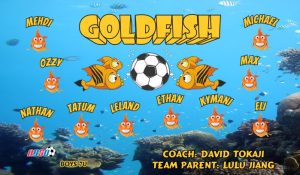 General Name Soccer Team Banner - AYSO Miscellaneous Banner - TeamsBanner
