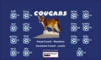 Cougars Soccer Team Banner - AYSO Cougars Banner - TeamsBanner