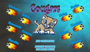 Cougars Soccer Team Banner - AYSO Cougars Banner - TeamsBanner