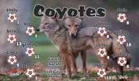Coyotes Soccer Team Banner - AYSO Coyotes Banner - TeamsBanner
