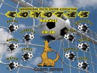 Coyotes Soccer Team Banner - AYSO Coyotes Banner - TeamsBanner